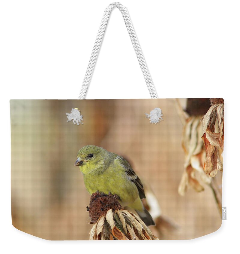 Lesser Goldfinch Weekender Tote Bag featuring the photograph Lesser Goldfinch #4 by Gary Wing