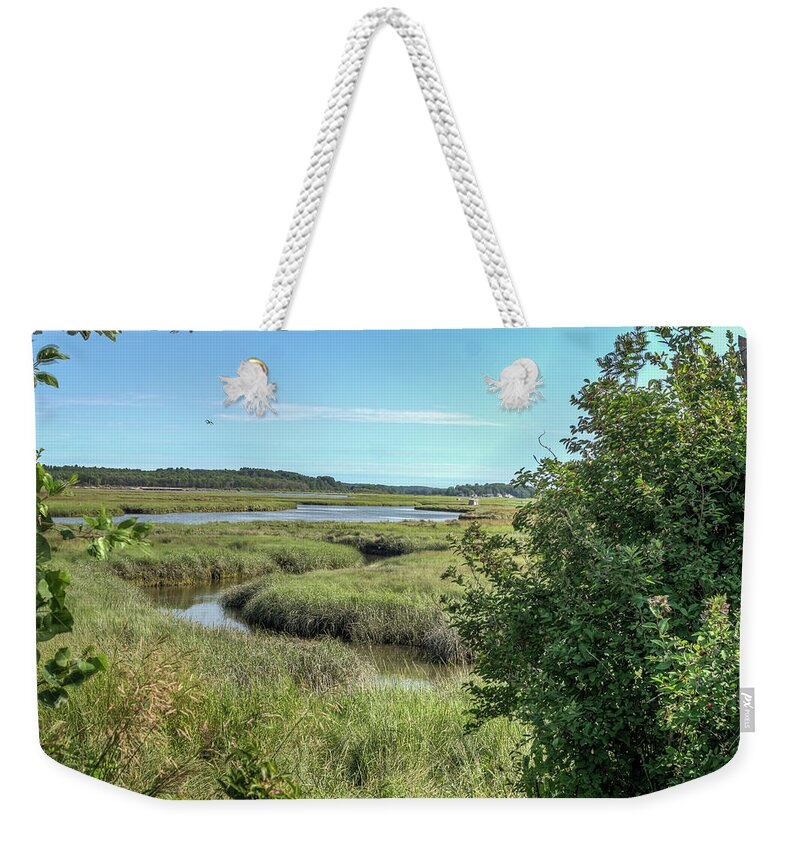 Maine Weekender Tote Bag featuring the photograph Marsh #4 by Jane Luxton