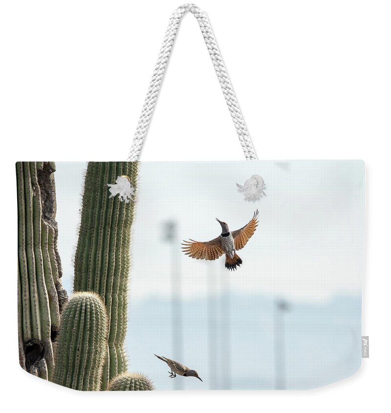 Gilded Weekender Tote Bag featuring the photograph Gilded Flicker #1 by Tam Ryan