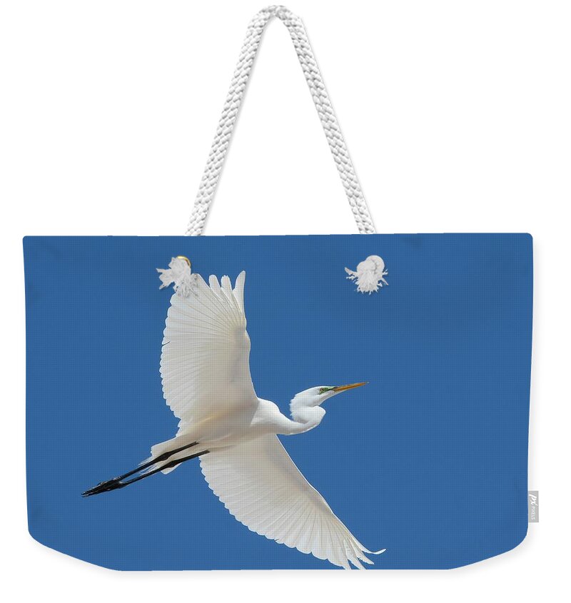 Great Egret Weekender Tote Bag featuring the photograph Out Of The Blue #4 by Fraida Gutovich