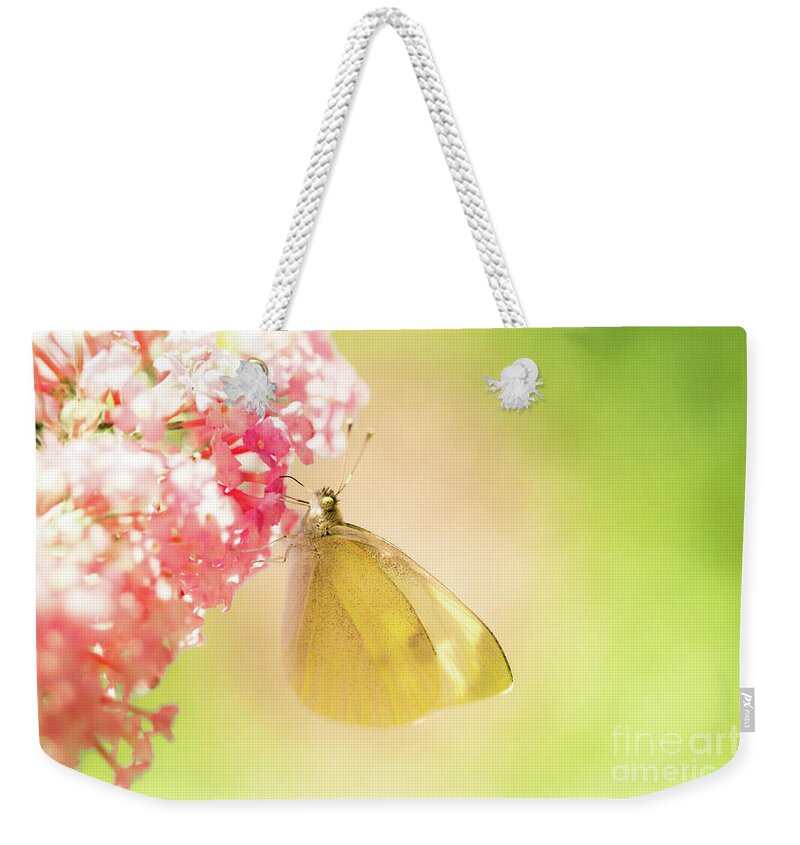 Europe Weekender Tote Bag featuring the photograph Pieris brassicae, the large white, also called cabbage butterfly #4 by Amanda Mohler
