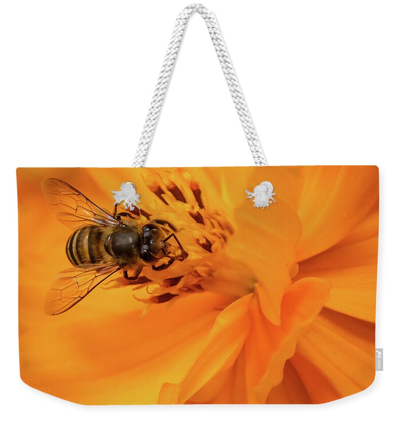 Bee Weekender Tote Bag featuring the photograph Pollination #4 by SAURAVphoto Online Store