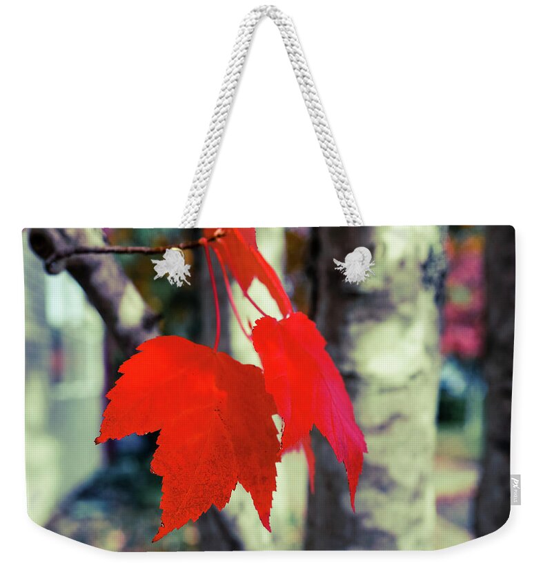 Art Weekender Tote Bag featuring the photograph Red #4 by Ronda Broatch