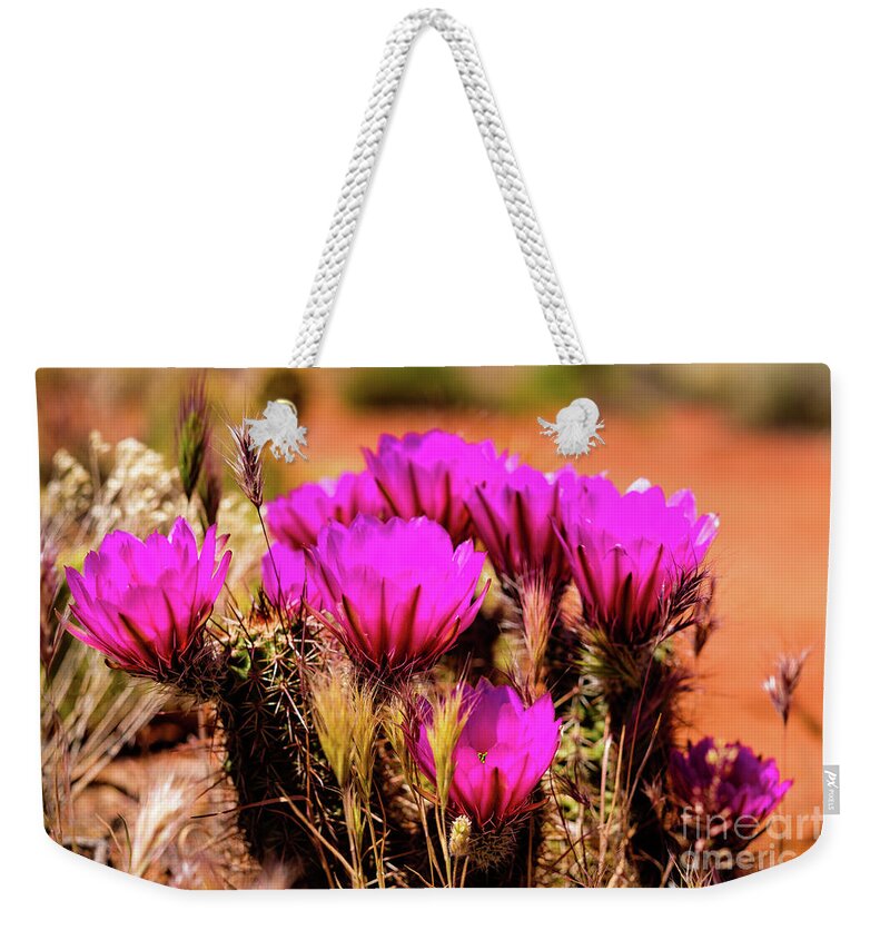 Arizona Weekender Tote Bag featuring the photograph Sedona Cactus Flower by Raul Rodriguez