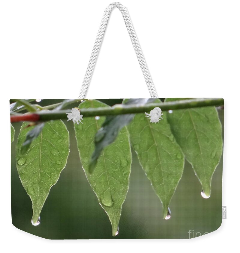 Four Weekender Tote Bag featuring the photograph 4 Times by Karin Ravasio