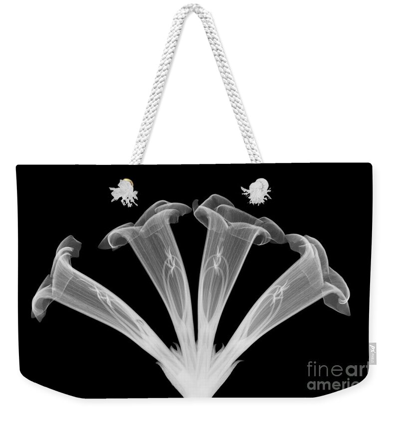 Plant Weekender Tote Bag featuring the photograph Trumpet Vine, X-ray #3 by Ted Kinsman