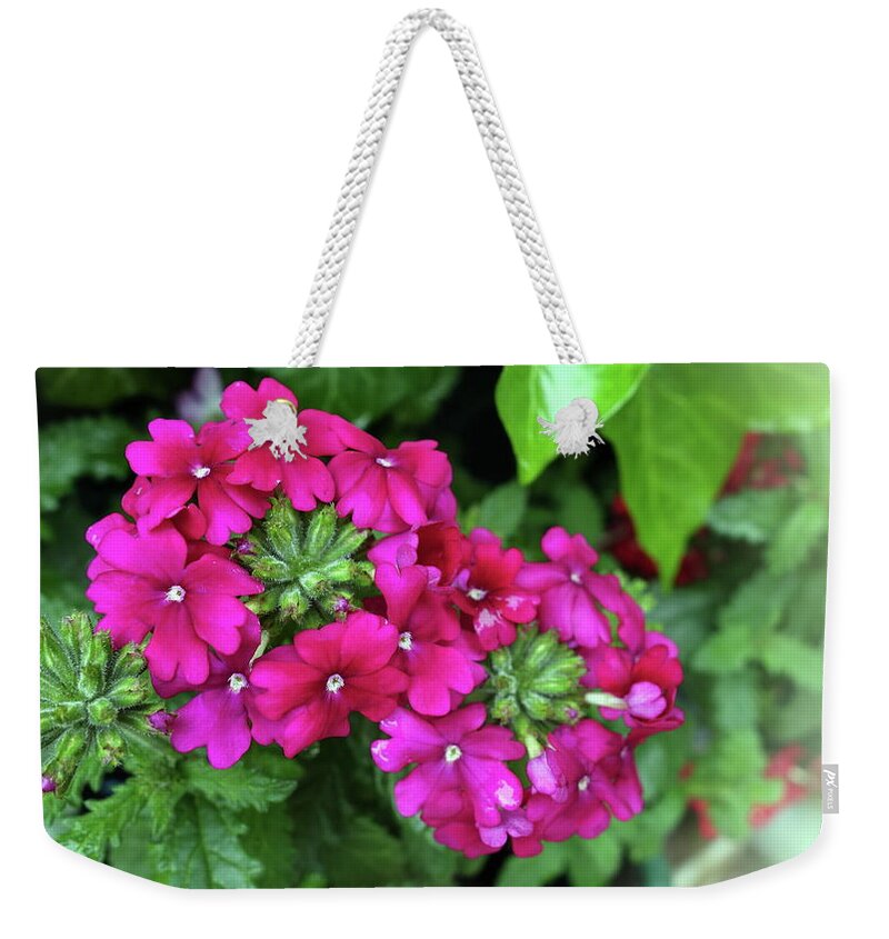 Flower Weekender Tote Bag featuring the photograph Flower #42 by Jackie Russo