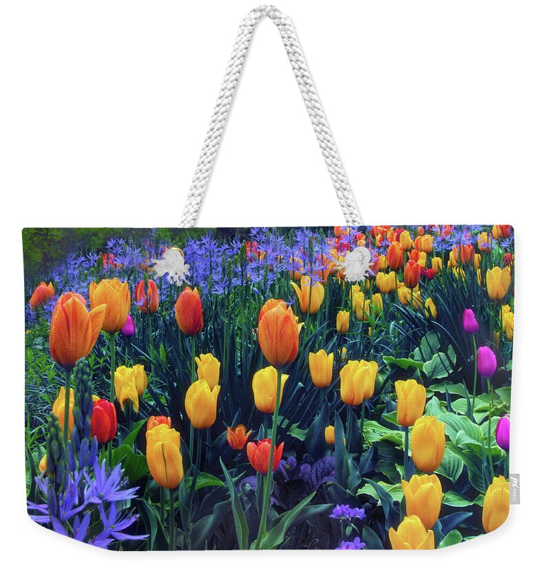 Tulips Weekender Tote Bag featuring the photograph Procession of Tulips by Jessica Jenney
