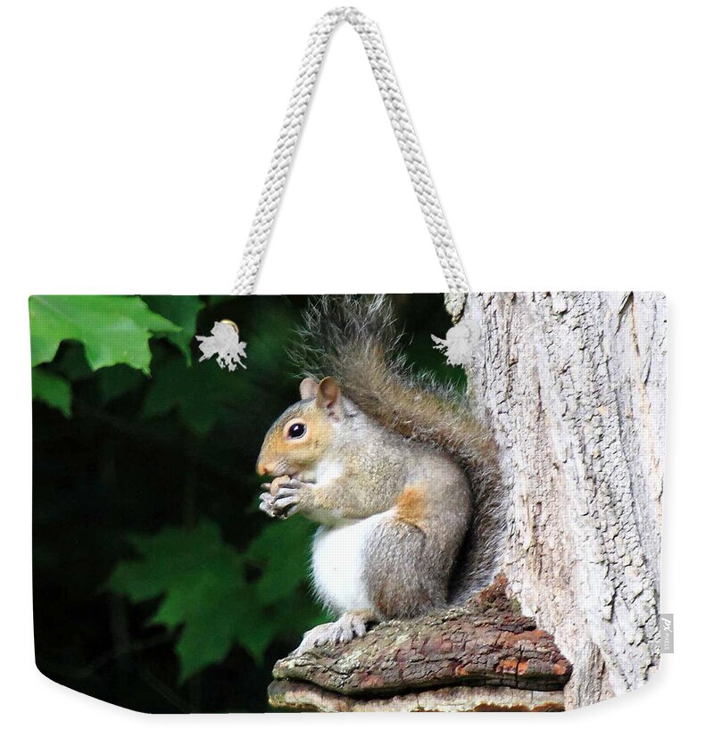 Pillow Gallery Weekender Tote Bag featuring the photograph Pillow Gallery #46 by PJQandFriends Photography