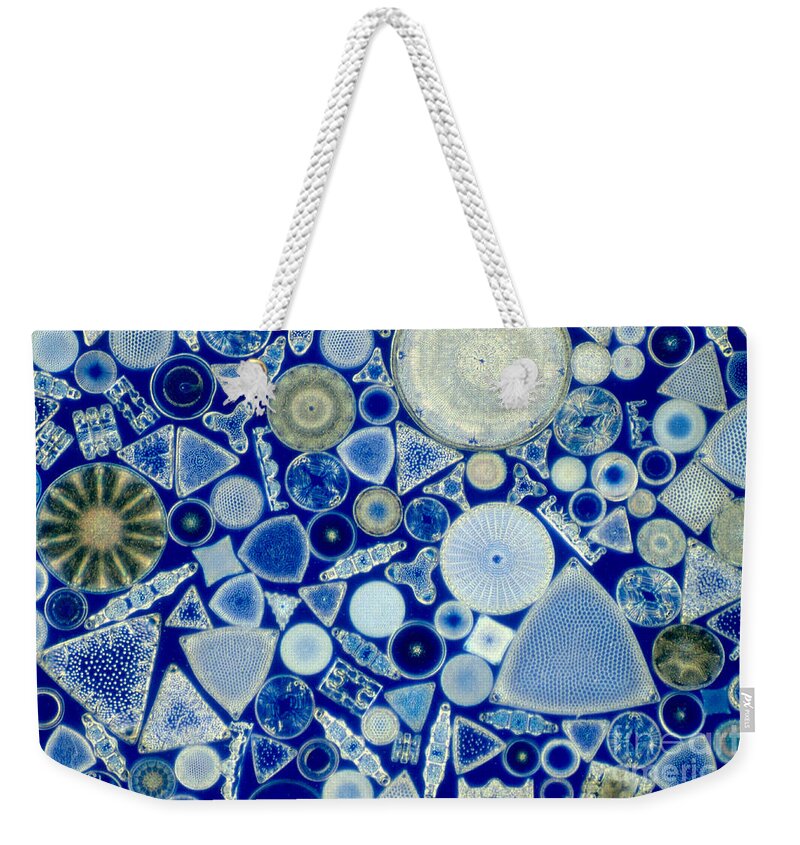 Diatom Weekender Tote Bag featuring the photograph Diatoms by M. I. Walker