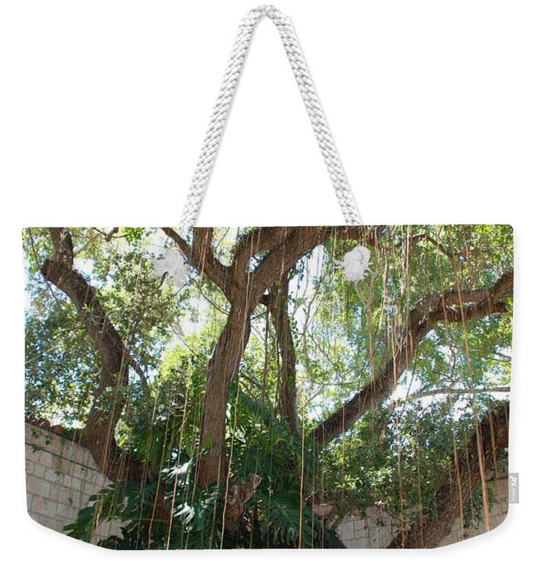 Architecture Weekender Tote Bag featuring the photograph Miami Monastery #5 by Rob Hans