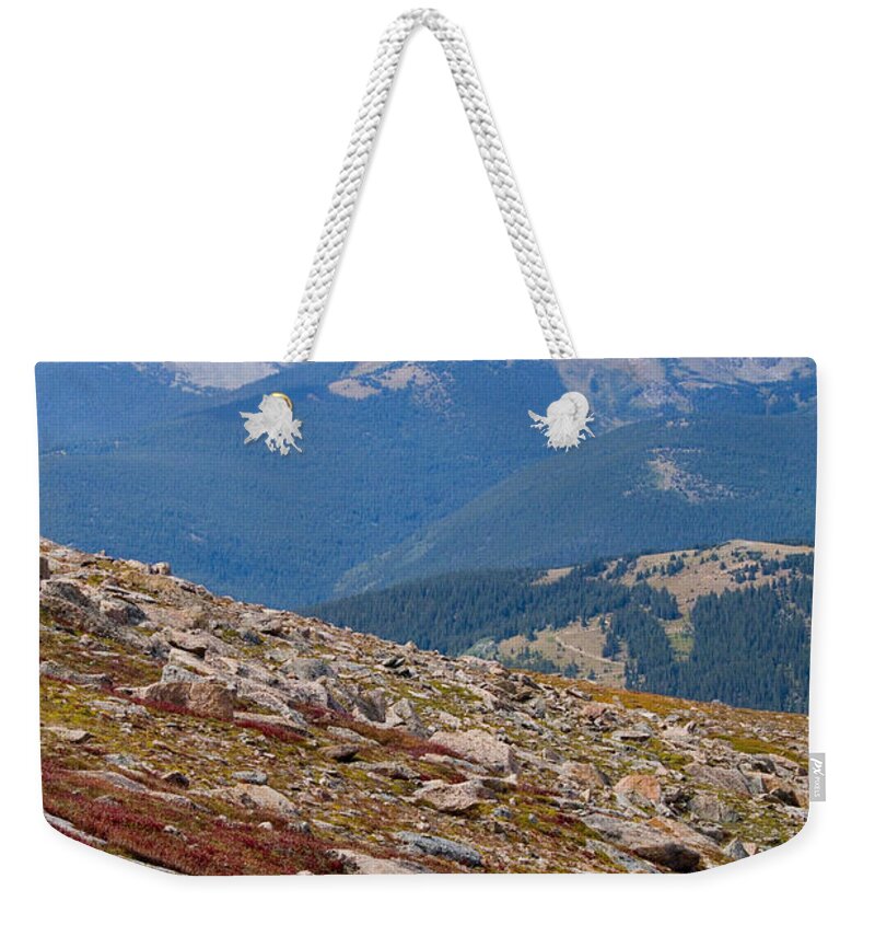 Goat Weekender Tote Bag featuring the photograph Mountain Goats on Mount Bierstadt in the Arapahoe National Forest #5 by Steven Krull