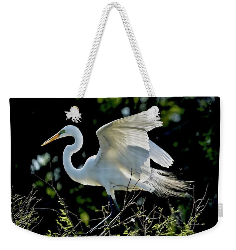 Rookery Weekender Tote Bag featuring the photograph Perfect Landing #6 by Carol Bradley