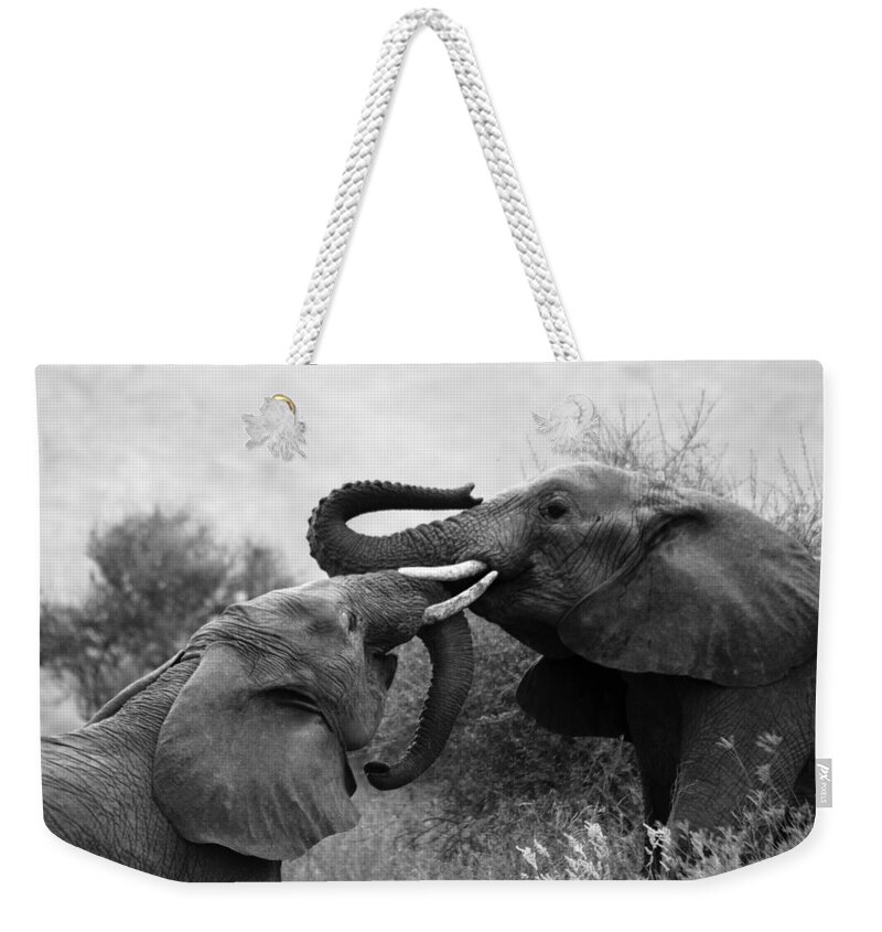 Africa Weekender Tote Bag featuring the photograph Playtime #5 by Michele Burgess