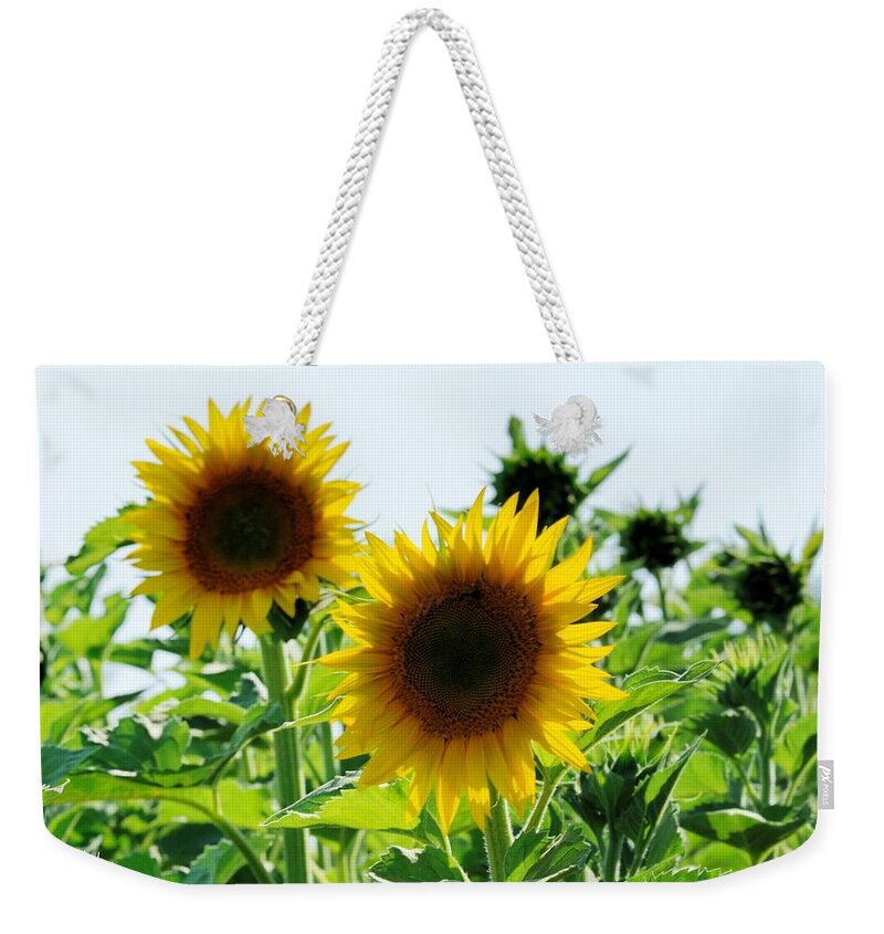 Sunflower Weekender Tote Bag featuring the photograph Sunflower #5 by Jackie Russo