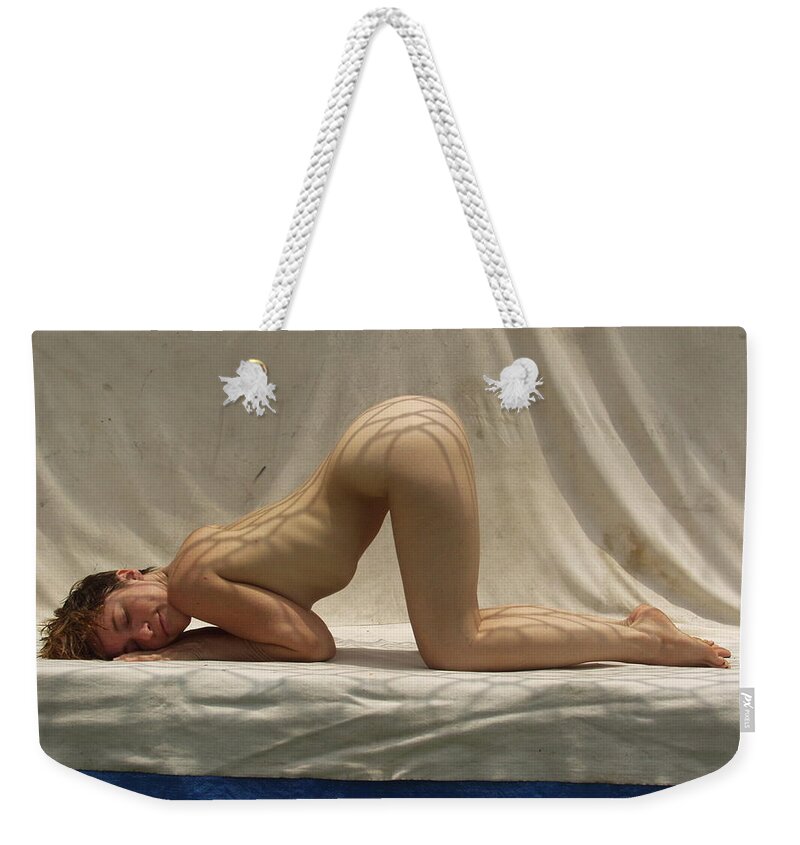  Weekender Tote Bag featuring the photograph The Net #5 by Lucky Cole