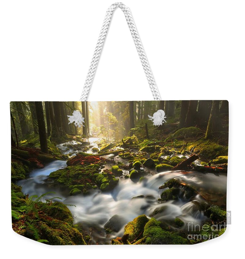 Sol Duc Weekender Tote Bag featuring the photograph Streaming Through Sol Duc by Adam Jewell