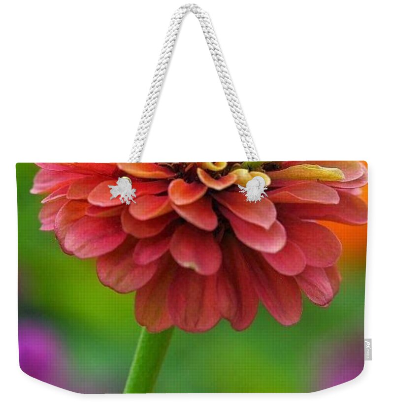 Flower Weekender Tote Bag featuring the photograph 50 Shades of Beautiful by Carolyn Mickulas