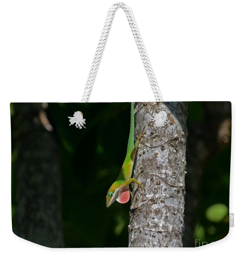 Green Anole Weekender Tote Bag featuring the photograph 56- Green Anole by Joseph Keane