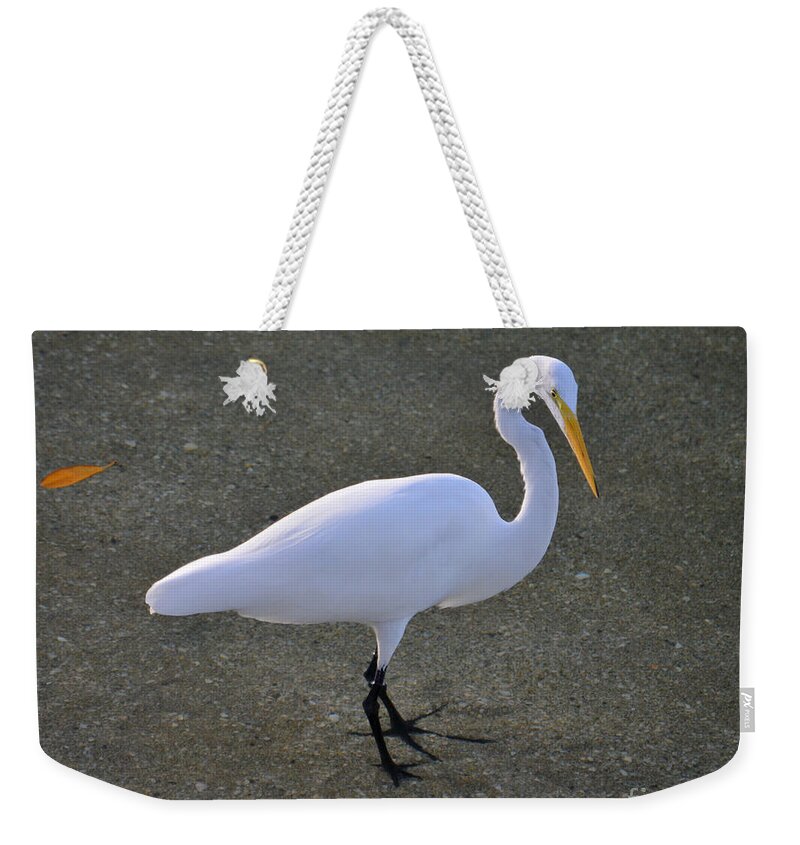 Great Egret Weekender Tote Bag featuring the photograph 59- Great Egret by Joseph Keane