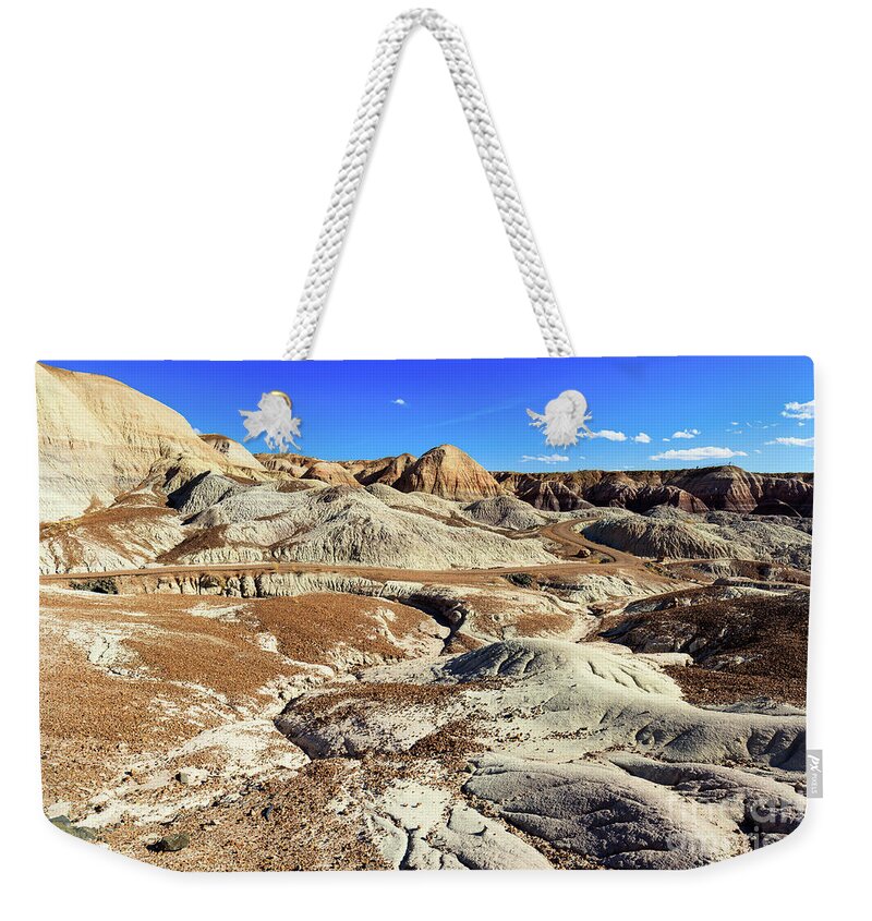 Arizona Weekender Tote Bag featuring the photograph Arizona Petrified Forest #6 by Raul Rodriguez