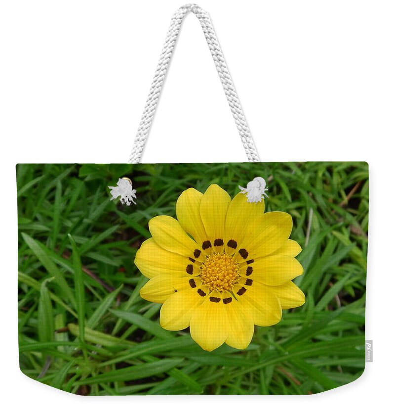 Australia Weekender Tote Bag featuring the photograph Australia - Daisy With Yellow Petals by Jeffrey Shaw