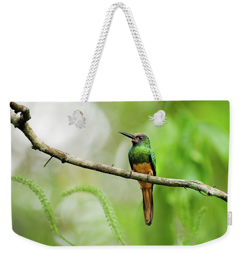 Bird Weekender Tote Bag featuring the photograph Bird #6 by Jackie Russo