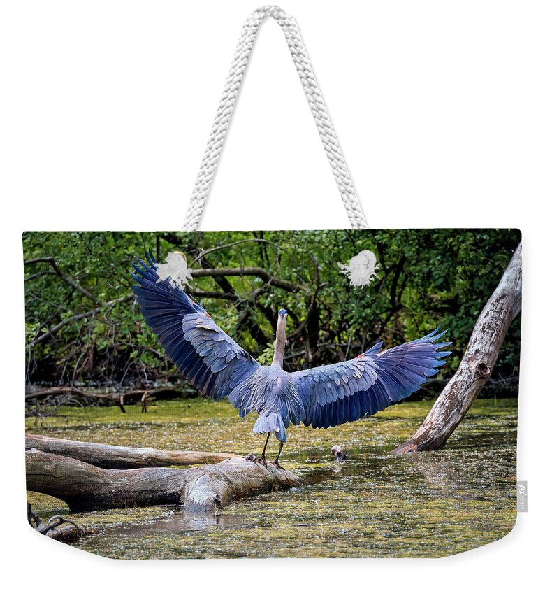 Animal Weekender Tote Bag featuring the photograph Blue Heron #6 by Peter Lakomy