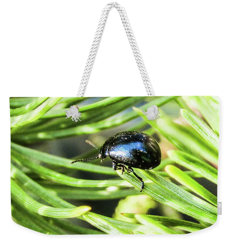 Bug Weekender Tote Bag featuring the photograph Bug #6 by Cesar Vieira