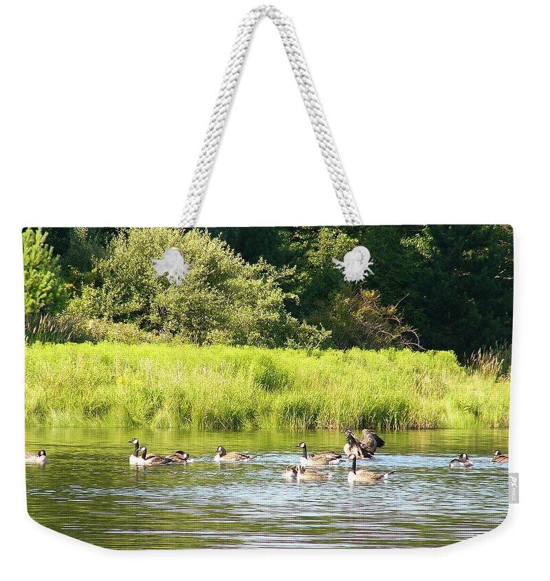 Goose Weekender Tote Bag featuring the photograph Goose #6 by Jackie Russo