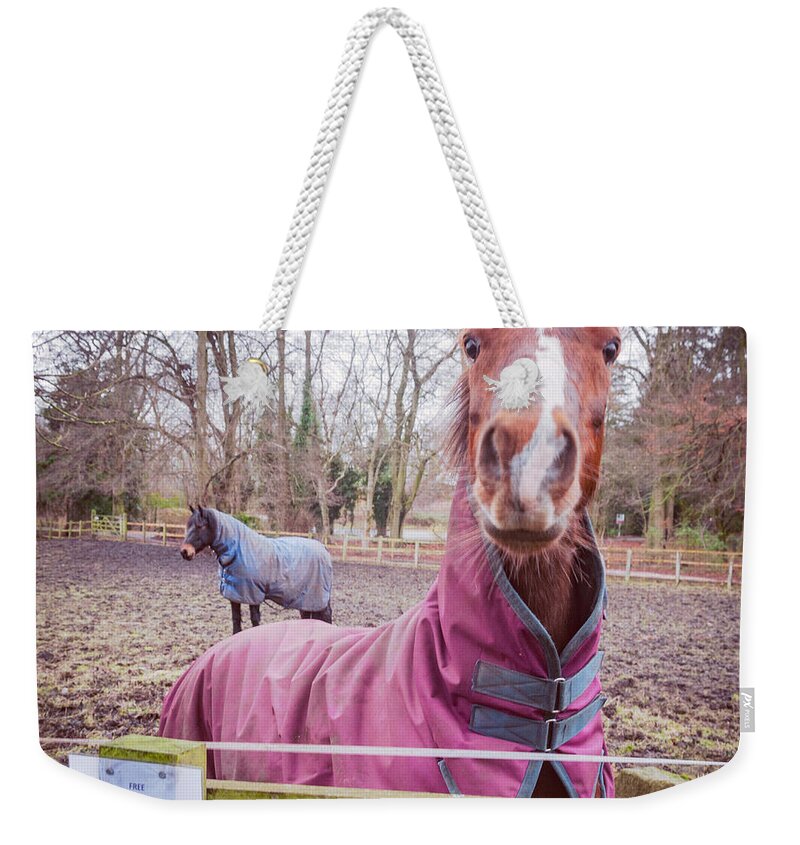 D90 Weekender Tote Bag featuring the photograph Horse #6 by Mariusz Talarek