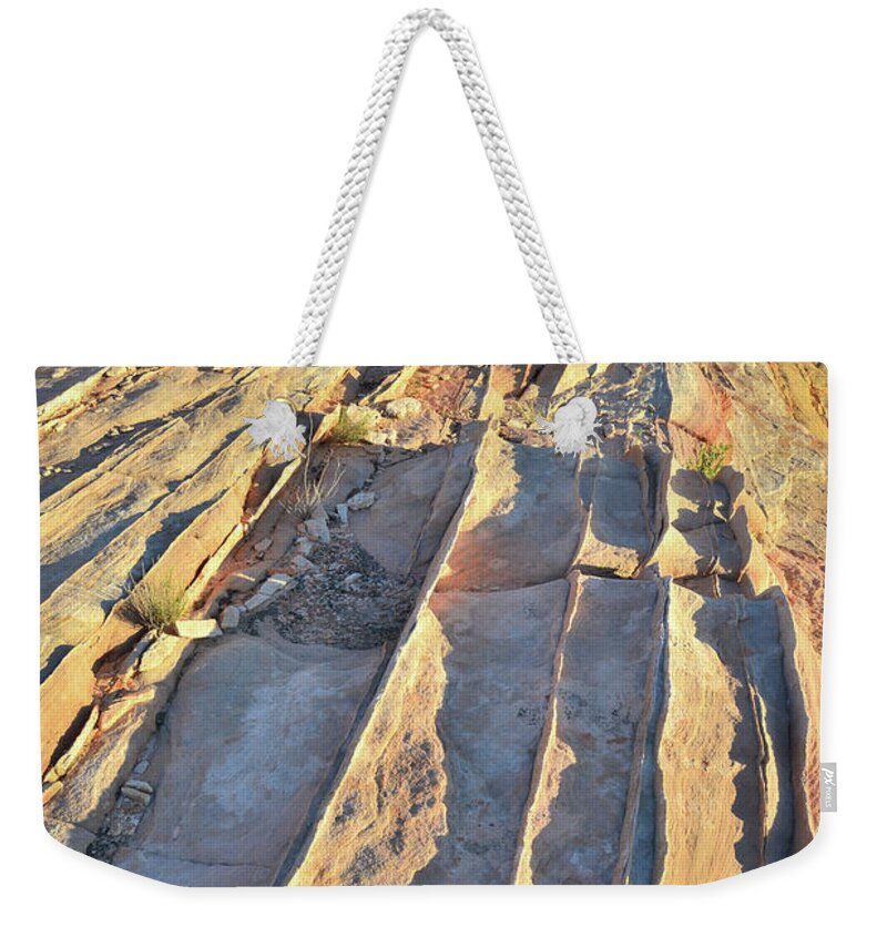 Valley Of Fire State Park Weekender Tote Bag featuring the photograph Last Light in Valley of Fire #3 by Ray Mathis