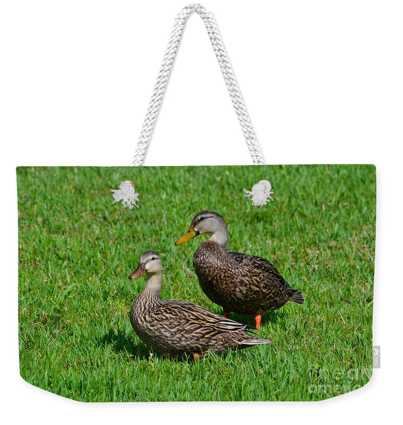 Mottled Ducks Weekender Tote Bag featuring the photograph 6- Mottled Ducks by Joseph Keane