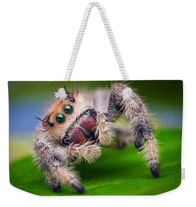 Spider Weekender Tote Bag featuring the digital art Spider #6 by Maye Loeser
