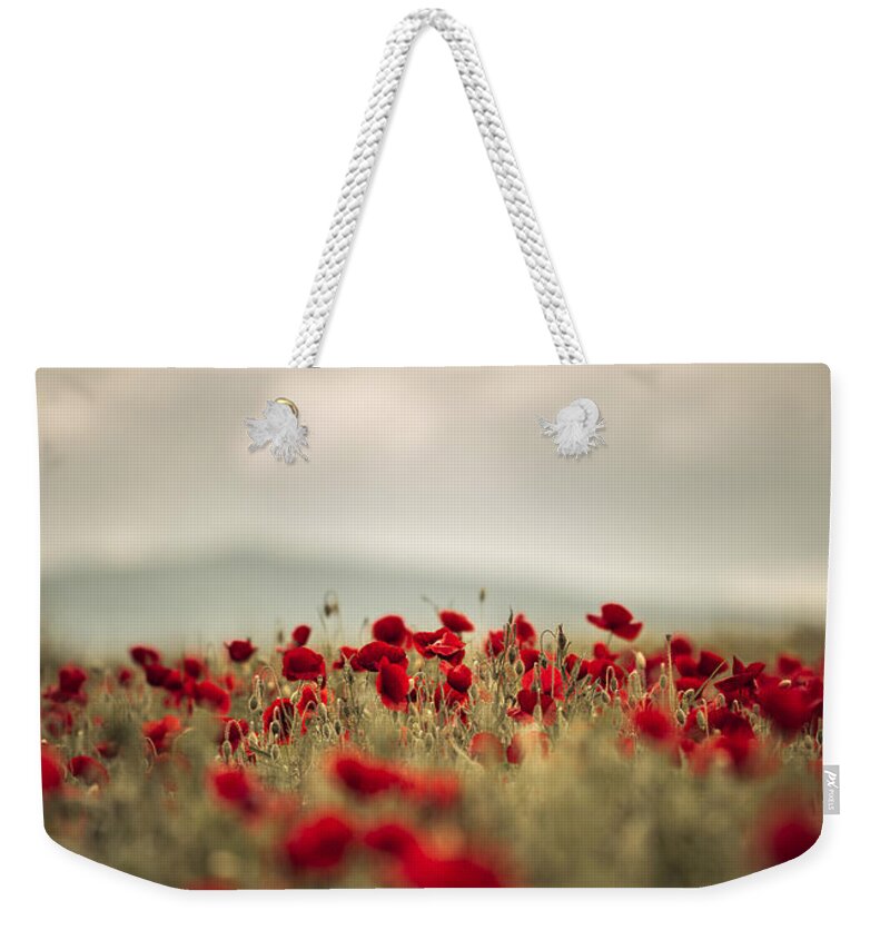 Poppy Weekender Tote Bag featuring the photograph Summer Poppy Meadow #6 by Nailia Schwarz