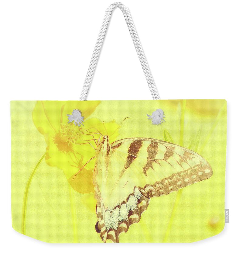 Papilio Glaucus Weekender Tote Bag featuring the digital art Tiger Swallowtail Butterfly on Cosmos Flower #6 by A Macarthur Gurmankin