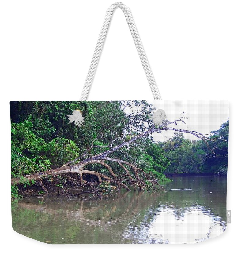 Tropical Weekender Tote Bag featuring the photograph Tropical #6 by Mariel Mcmeeking