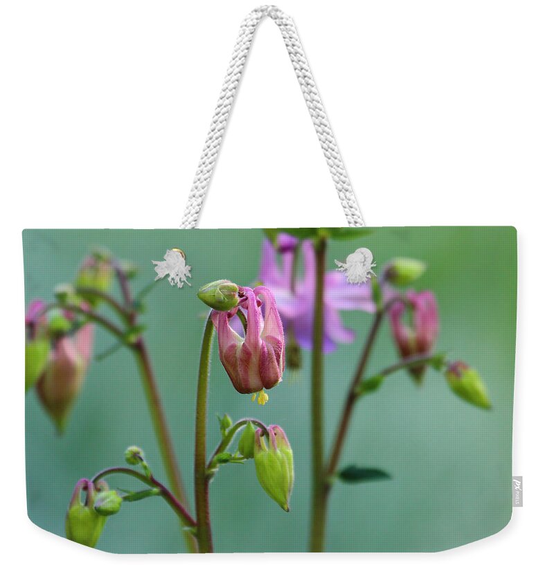 Pillow Gallery Weekender Tote Bag featuring the photograph Pillow Gallery #63 by PJQandFriends Photography