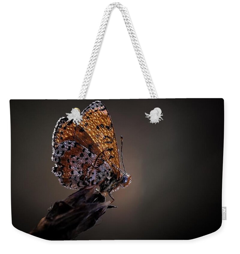 Butterfly Weekender Tote Bag featuring the photograph Butterfly #7 by Jackie Russo