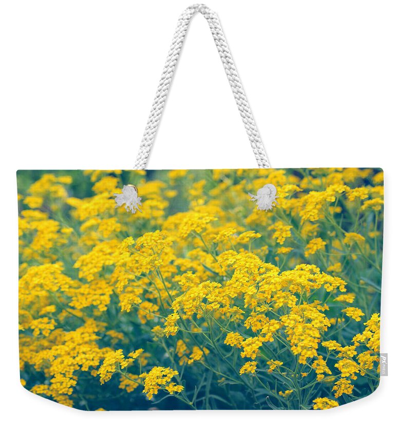 Flower Weekender Tote Bag featuring the photograph Flower #7 by Mariel Mcmeeking