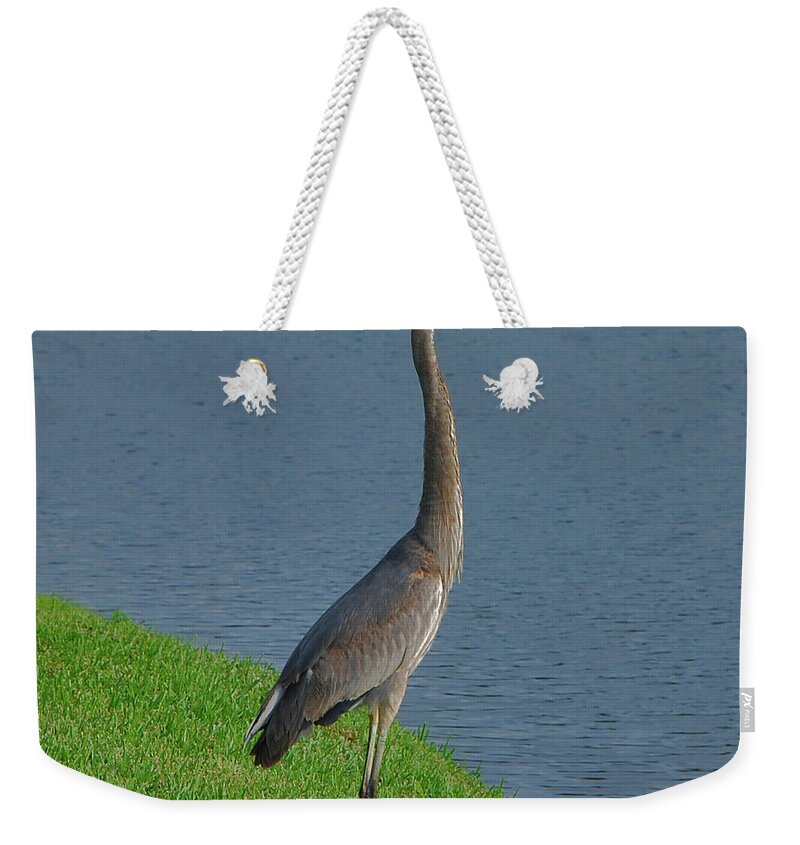 Great Weekender Tote Bag featuring the photograph 7- Great Blue Heron by Joseph Keane