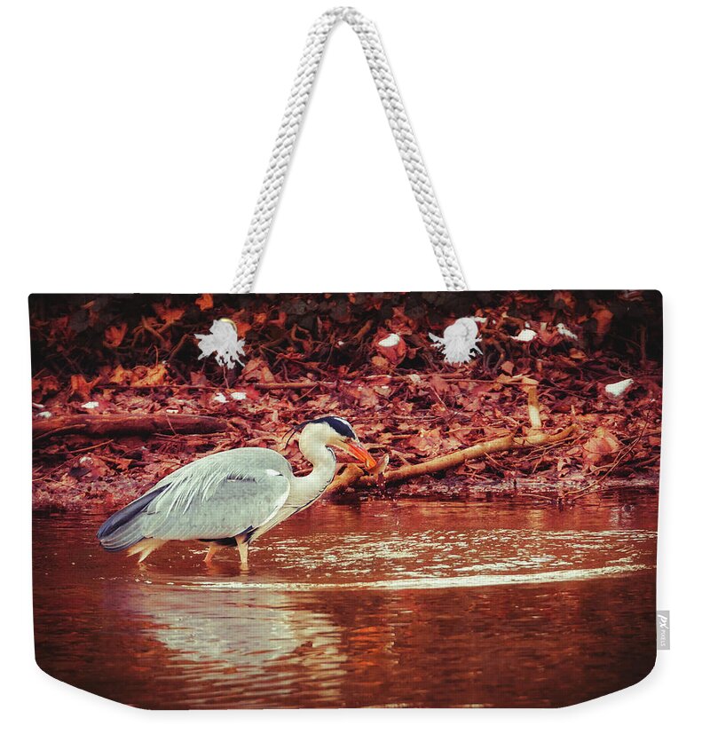 Heron Weekender Tote Bag featuring the photograph Grey Heron - Ardea Cinerea #7 by Marc Braner