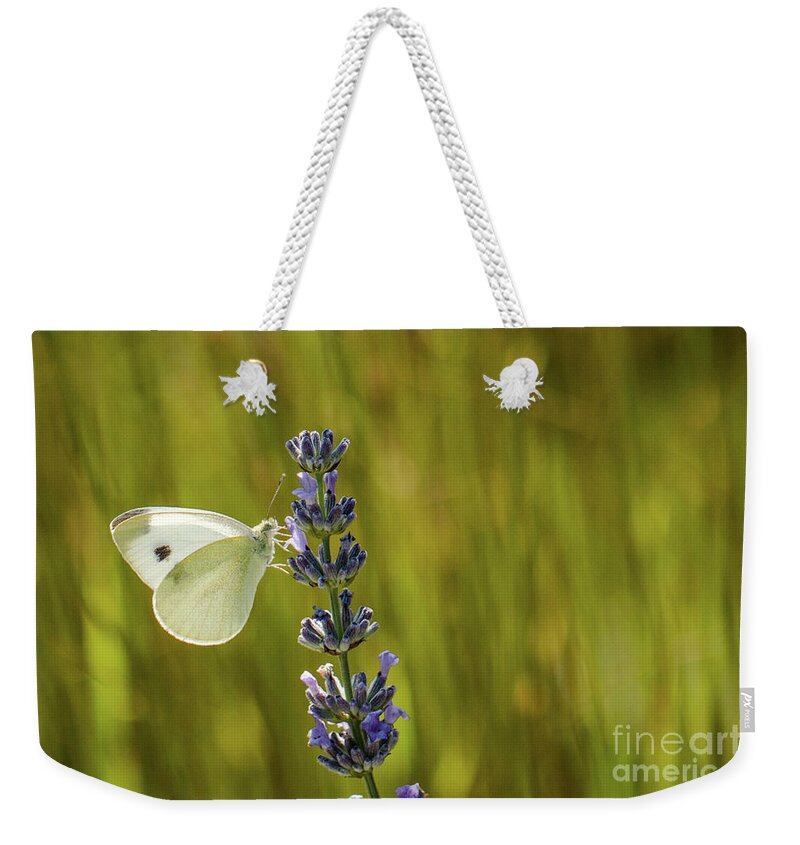 Animal Weekender Tote Bag featuring the photograph Pieris brassicae, the large white, also called cabbage butterfly by Amanda Mohler