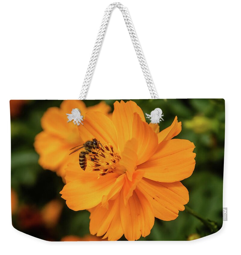 Bee Weekender Tote Bag featuring the photograph Pollination #7 by SAURAVphoto Online Store