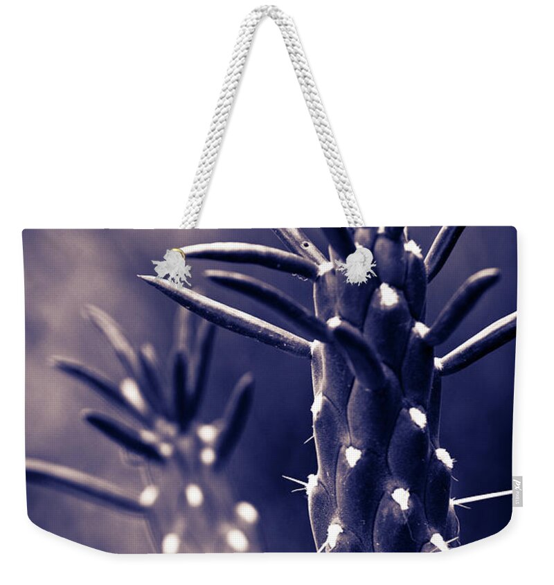 Cactus Weekender Tote Bag featuring the photograph Textures of Arizona #6 by John Magyar Photography
