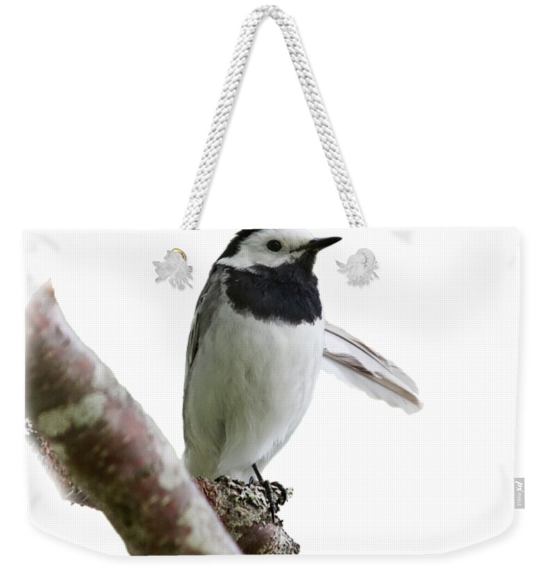 Finland Weekender Tote Bag featuring the photograph White wagtail with transparent background by Jouko Lehto