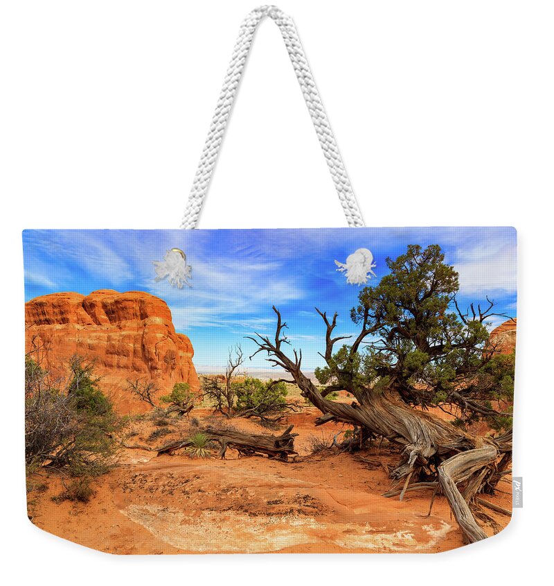 Arches National Park Weekender Tote Bag featuring the photograph Arches National Park by Raul Rodriguez