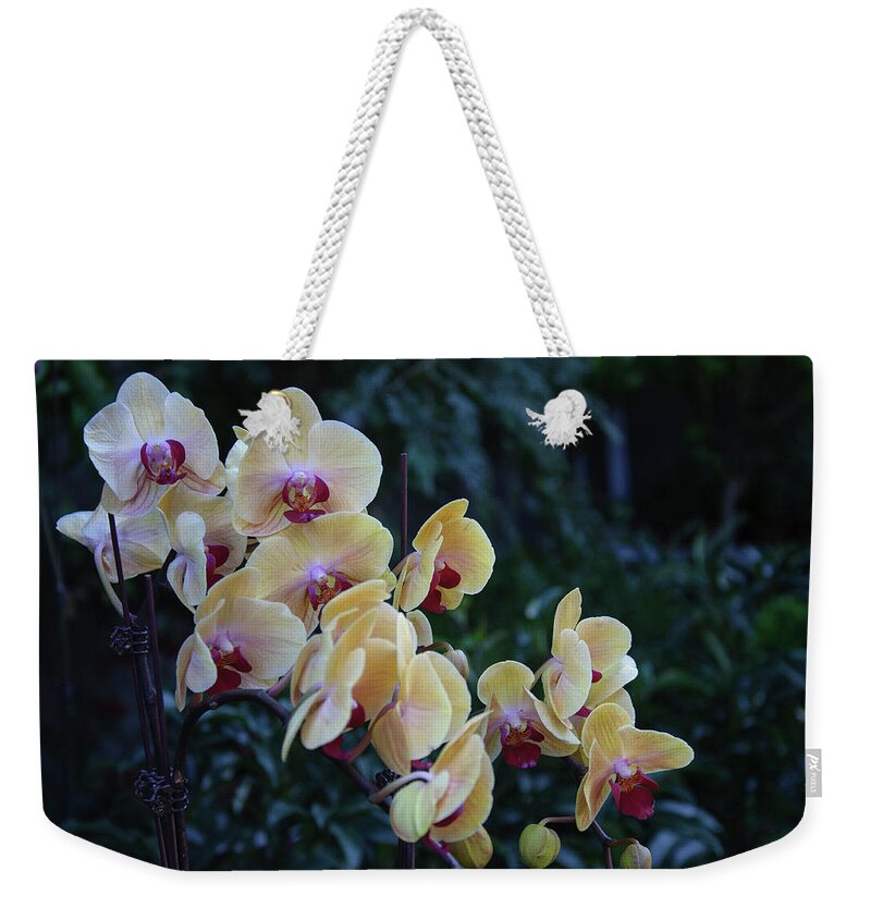 Flower Weekender Tote Bag featuring the photograph Butterfly orchid flowers #8 by Carl Ning