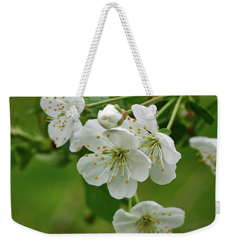 Finland Weekender Tote Bag featuring the photograph Cherry flowers #8 by Jouko Lehto