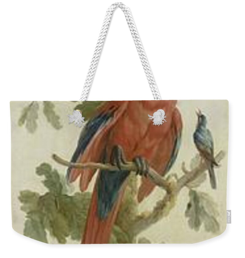 Decorative Depiction With Plants And Animals Weekender Tote Bag featuring the painting Decorative Depiction with Plants and Animals #8 by MotionAge Designs